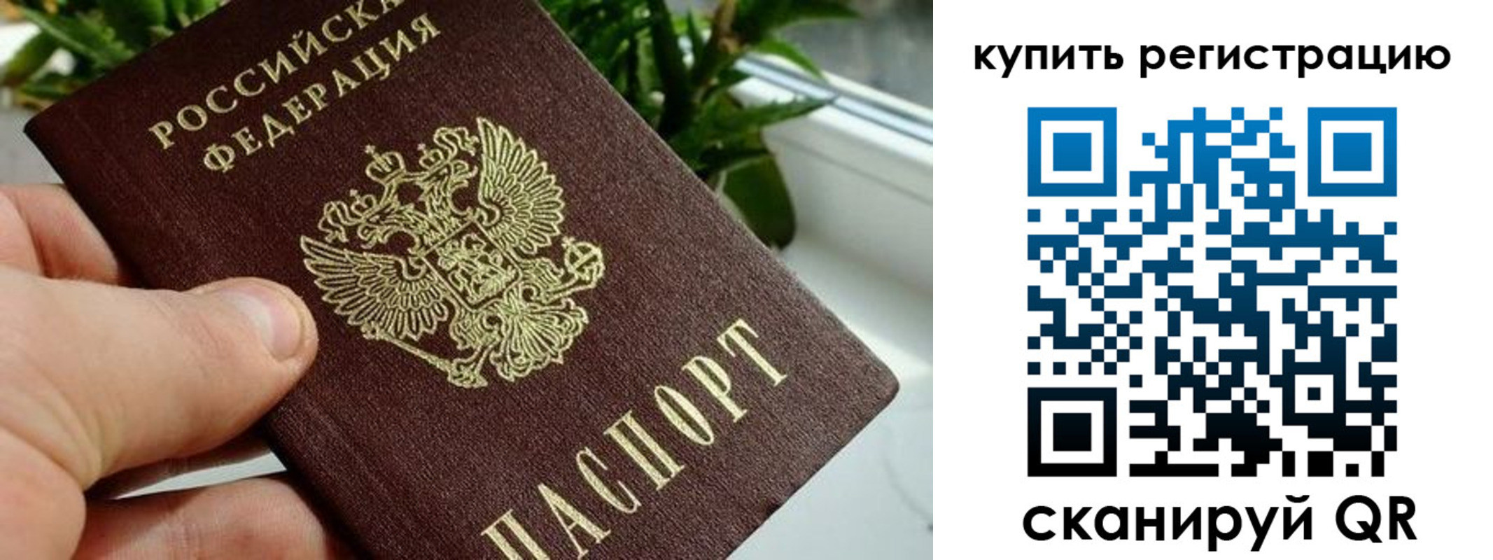 прописка гарантия в Харовске